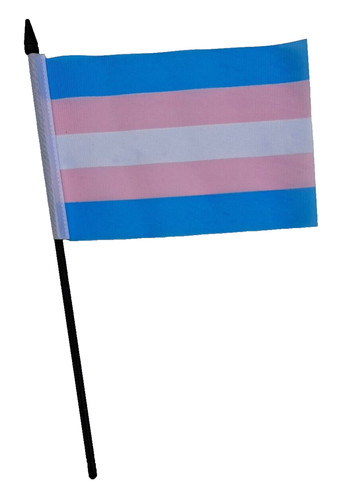Transgender pride small - small, hand
