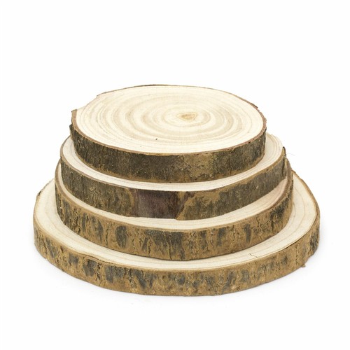 Piece natural wood tree bark - piece,