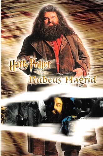 Harry potter postcard - potter,