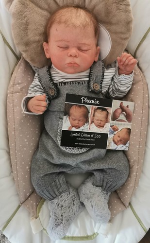 Reborn baby boy phoenix - reborn,