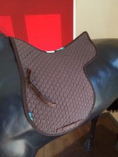 Brown Nuumed Griffin Hiwither