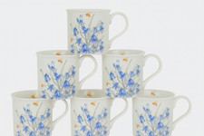 Set of 6 Bluebell Fine Bone