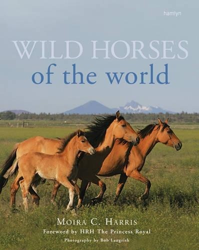 Wild horses the world - of,