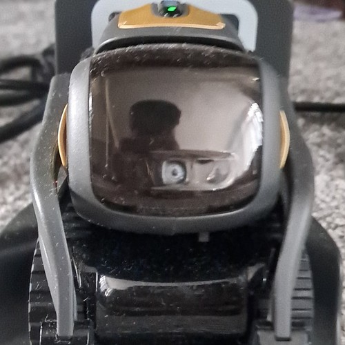 Vector robot anki voice - robot,