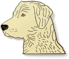 Golden Labrador Retriever Dog