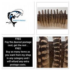 Pheasant Wing Feathers Hen