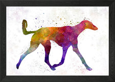 Saluki watercolor framed - saluki,