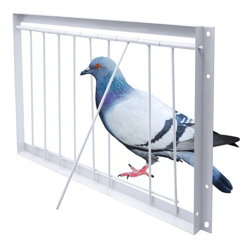 Removable pigeon entrance - pigeon,
