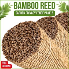 8-10mm Extra Thick Reed