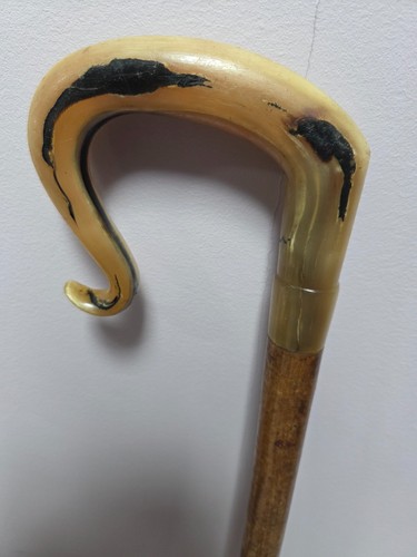 Rams horn shepherds crook - rams,