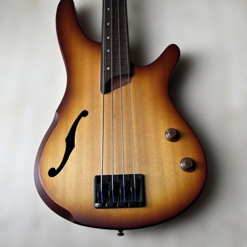 Ibanez srh500f fretless bass - ibanez,