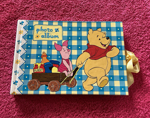Disney themed winnie - themed, the