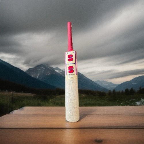 Essex cricket bat - bat, team