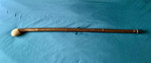Hazel coppice knob - hazel,