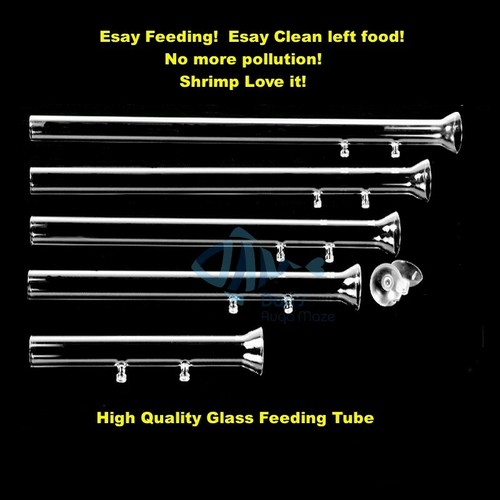 Glass shrimp feeding tube dish - glass,