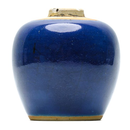Chinese porcelain ginger jar - ginger,