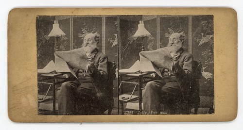 Stereoview stereoscope card - stereoscope,