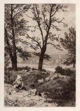 Adorable ORIGINAL Birket