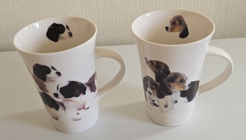 Leonardo collection dog - 2,