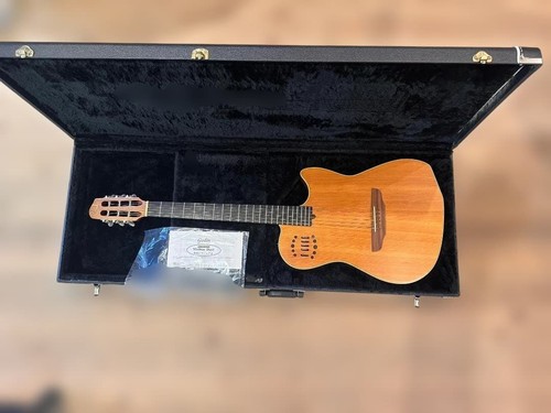 Godin multiac duet - duet, steel
