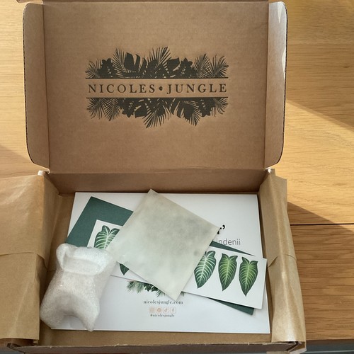 Miniature paper plant kit - miniature,
