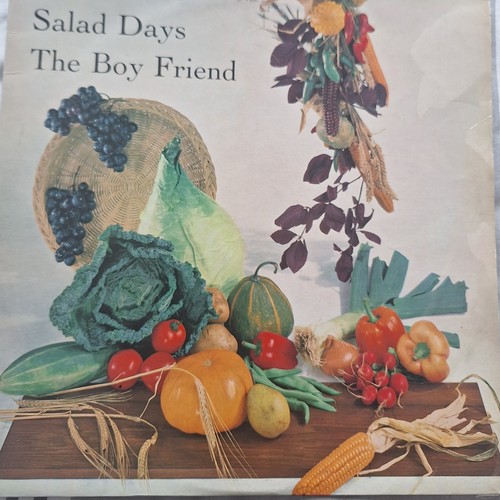 Salad days the - boy, friend