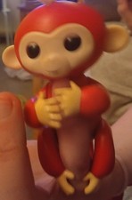 Fingerling Red Monkey With