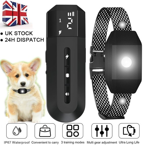Dog pet training collar - pet,