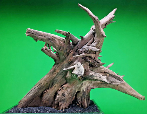 Large corbo root aquarium - corbo,