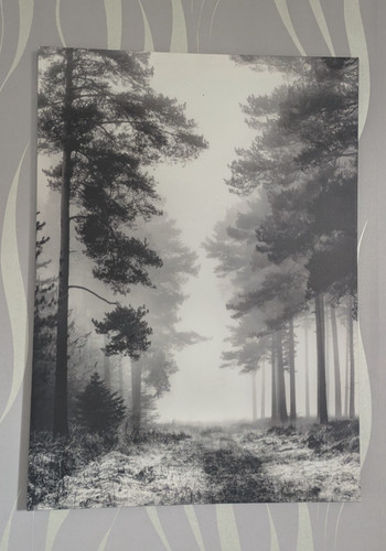 Ikea pjatteryd canvas misty - ikea,