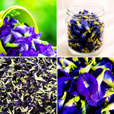 Dried Blue Butterfly Pea