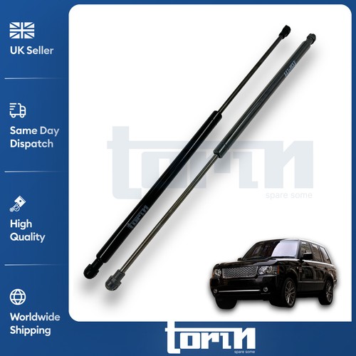 Rear tailgate boot gas - boot,