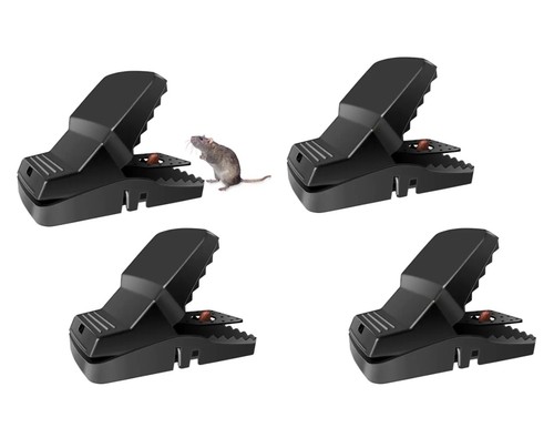 Pack 21cm xxl - rat, that