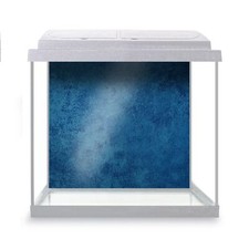 Fish Tank Background Beautiful