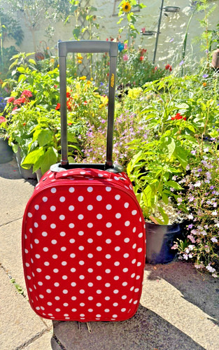 Frenzy red and white polka - polka, dot
