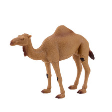Arabian Camel Toy Wild zoo