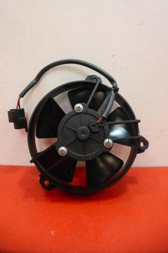 Malaguti phantom 250 fan 2006 - malaguti,