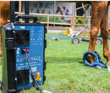 Horse PEMF PMST LOOP