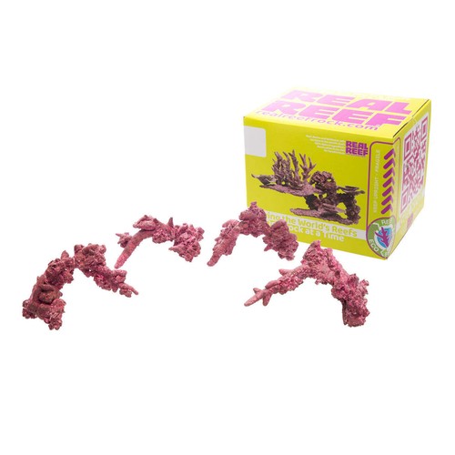 Real reef rock fancy arch - arch,