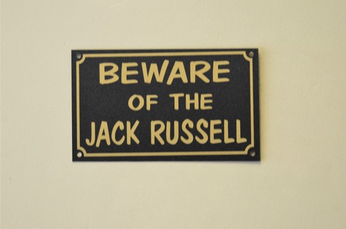 Beware the jack russell - beware, of