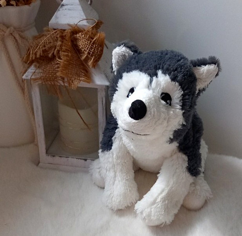 Cute small grey - small,