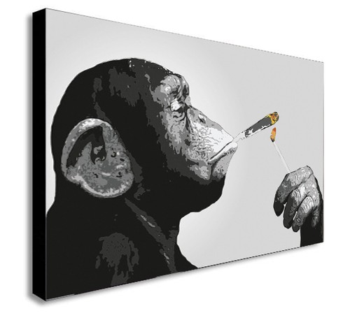 Monkey chimp smoking - monkey, spliff