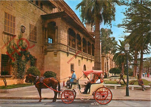 Picture postcard palma - picture, postcard;