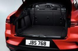 Jaguar genuine cargo - jaguar, barrier