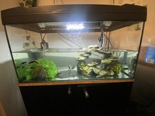 Aquarium Fish Tank and Cabinet including accessories with two small platy fish