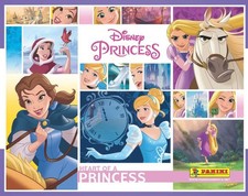 136 Disney Heart Of A Princess