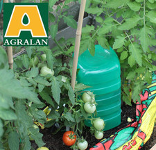 Grow bag watering - watering, 2