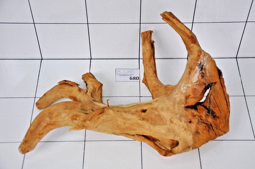 Premium aquarium natural wood - natural,