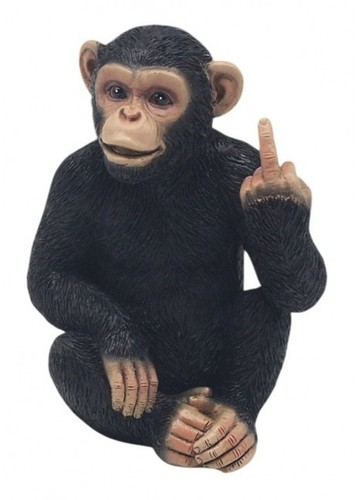 Cheeky monkey - cheeky,