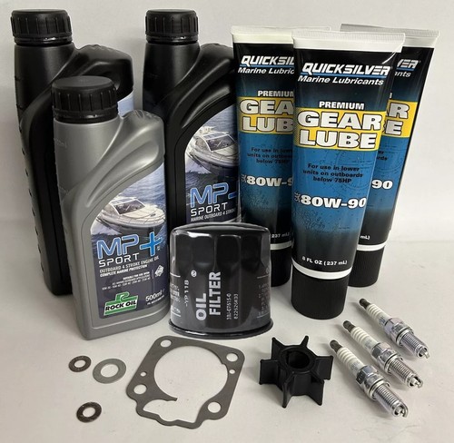 Genuine annual service kit - annual,